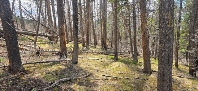 LOT2732 Grojean Dr, Fort Garland, CO 81133 - photo 9