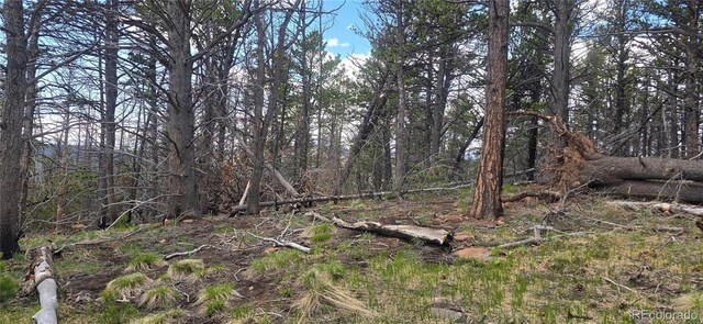 LOT2732 Grojean Dr, Fort Garland, CO 81133 - photo 10