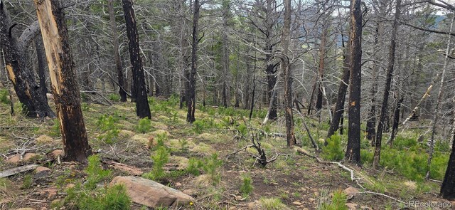 LOT2732 Grojean Dr, Fort Garland, CO 81133 - photo 15