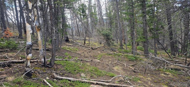 LOT2732 Grojean Dr, Fort Garland, CO 81133 - photo 18