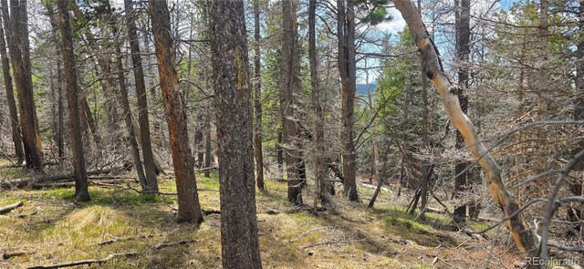 LOT2732 Grojean Dr, Fort Garland, CO 81133 - photo 19