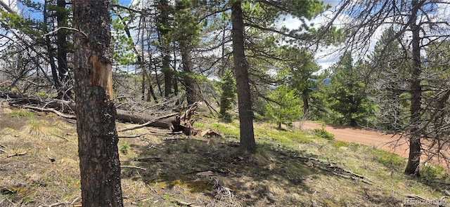 LOT2732 Grojean Dr, Fort Garland, CO 81133 - photo 20