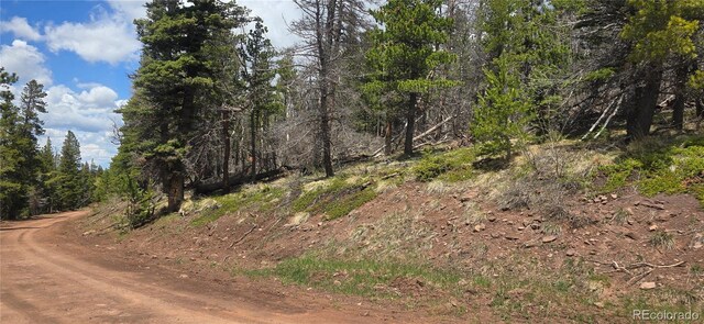 LOT2732 Grojean Dr, Fort Garland, CO 81133 - photo 21