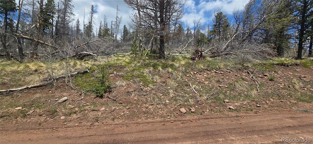 LOT2732 Grojean Dr, Fort Garland, CO 81133 - photo 22