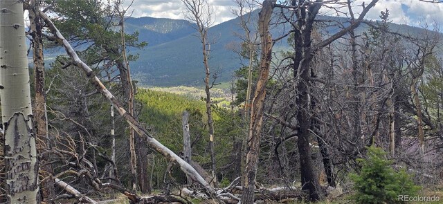 LOT2732 Grojean Dr, Fort Garland, CO 81133 - photo 23