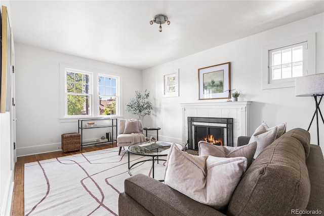 1260 S Emerson St, Denver, CO 80210 - living area with wood finished floors, baseboards, and a tiled fireplace