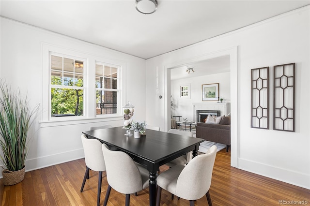 1260 S Emerson St, Denver, CO 80210 - dining space with baseboards, dark wood-type flooring, and a warm lit fireplace