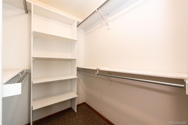 view of spacious closet