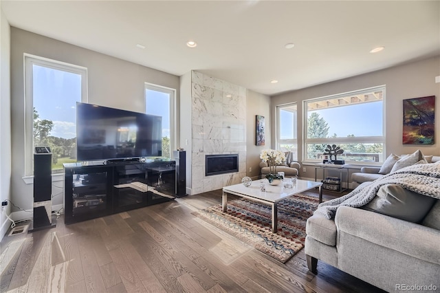 living room with wood-type flooring and a fireplace