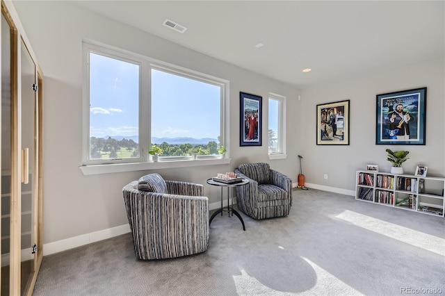 sitting room featuring carpet floors