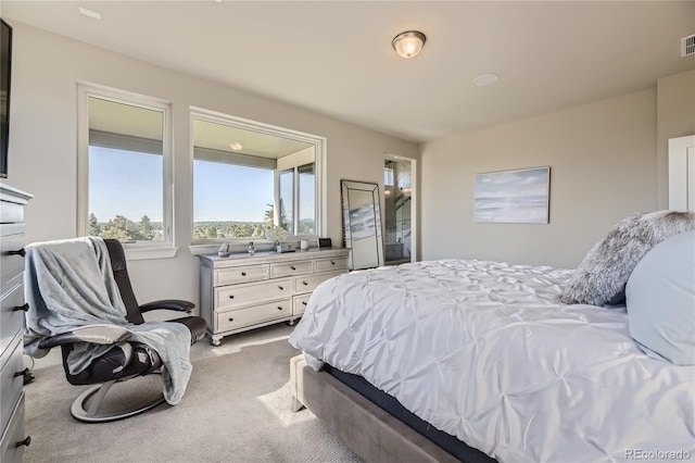 bedroom with carpet floors