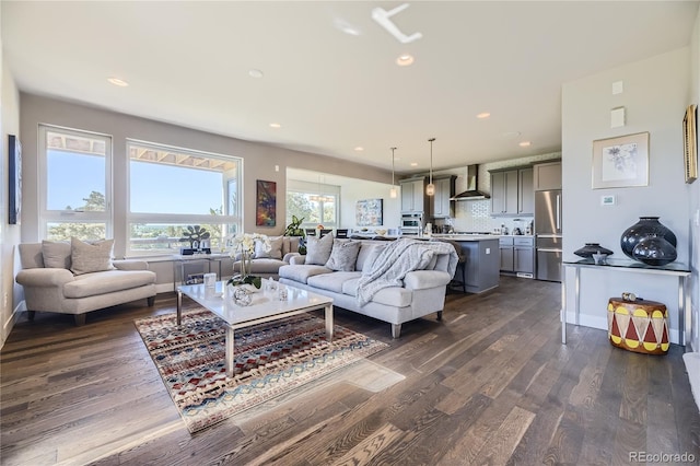 living room featuring dark wood-type flooring