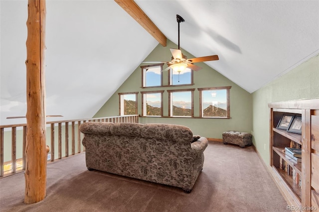 1411 Little Horn Dr, Westcliffe, CO 81252 - photo 25