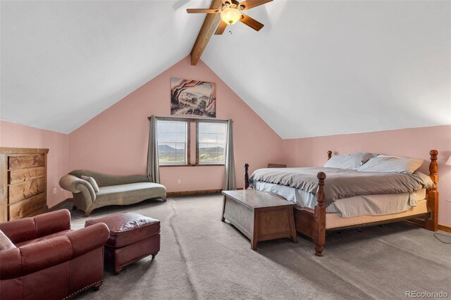 1411 Little Horn Dr, Westcliffe, CO 81252 - photo 27