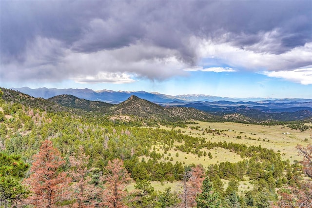 1411 Little Horn Dr, Westcliffe, CO 81252 - photo 31