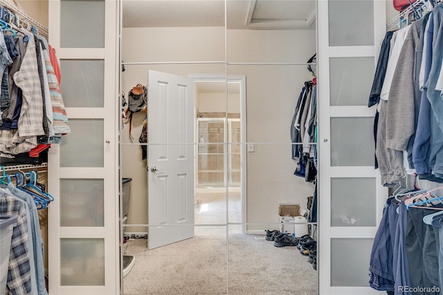 7823 E 130th Pl, Thornton, CO 80602 - walk in closet featuring carpet floors