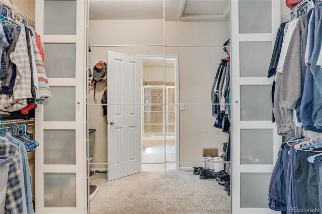 7823 E 130th Pl, Thornton, CO 80602 - walk in closet with carpet floors