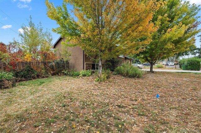 3010 Fireweed Dr, Colorado Springs, CO 80918 - view of yard
