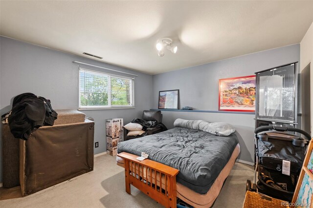3010 Fireweed Dr, Colorado Springs, CO 80918 - view of carpeted bedroom