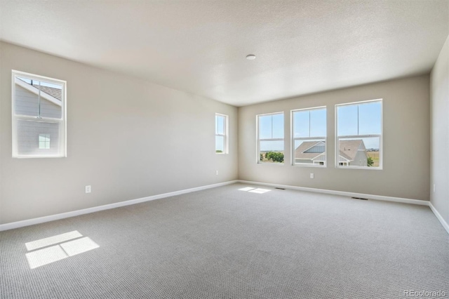 carpeted spare room featuring a healthy amount of sunlight