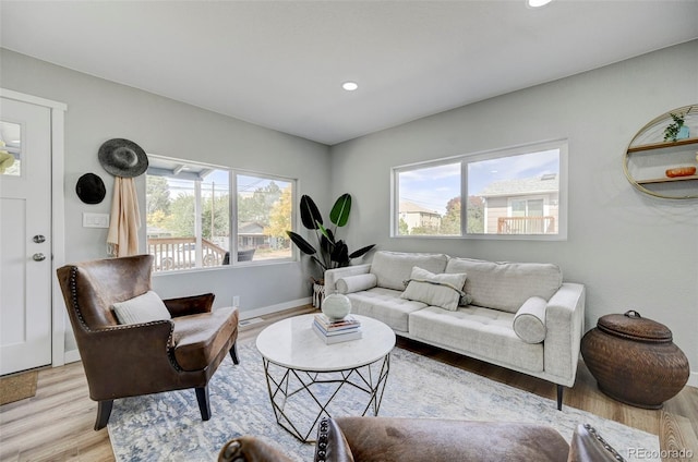 living room featuring light hardwood / wood-style flooring