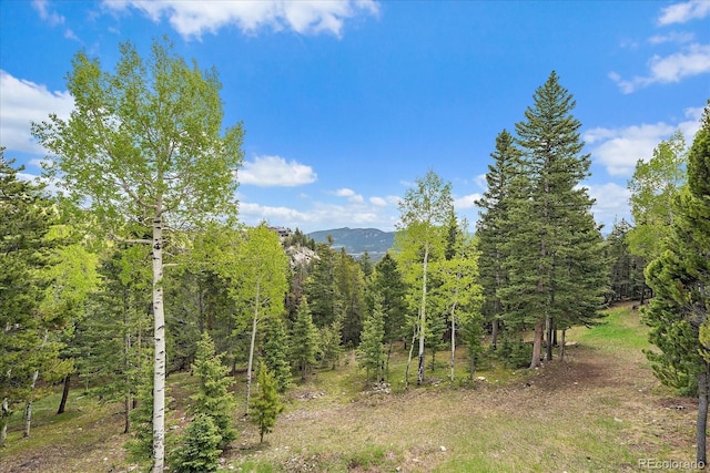 11222 Conifer Mountain Rd, Conifer, CO 80433 - view of mountain background featuring a heavily wooded area