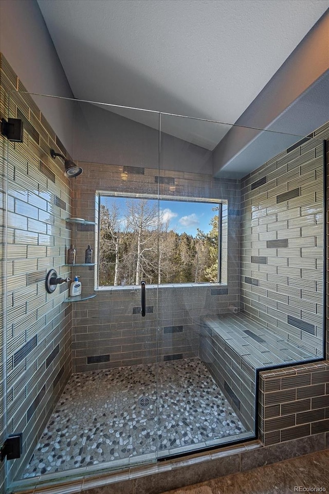 11222 Conifer Mountain Rd, Conifer, CO 80433 - full bathroom featuring a stall shower and plenty of natural light