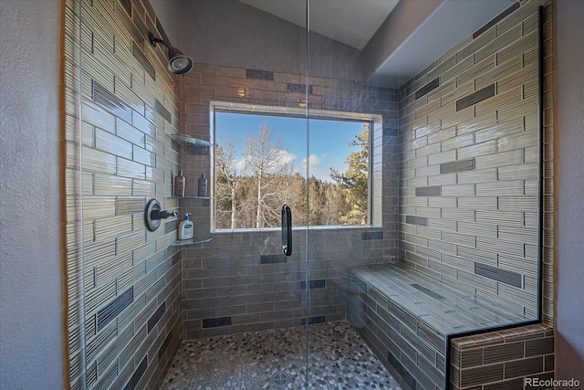 11222 Conifer Mountain Rd, Conifer, CO 80433 - full bathroom featuring a shower stall and lofted ceiling