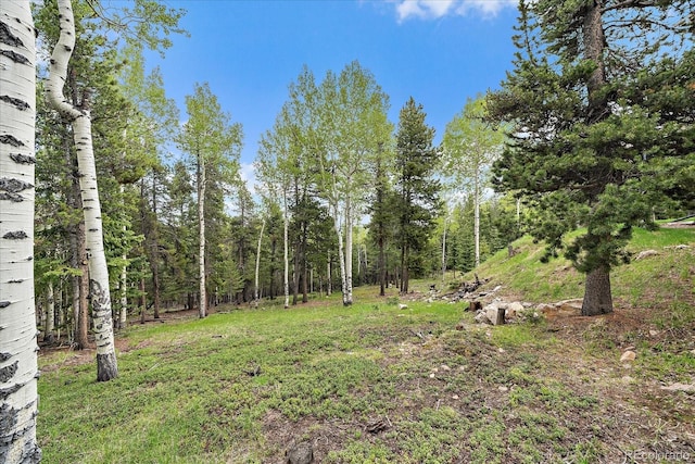 11222 Conifer Mountain Rd, Conifer, CO 80433 - view of yard