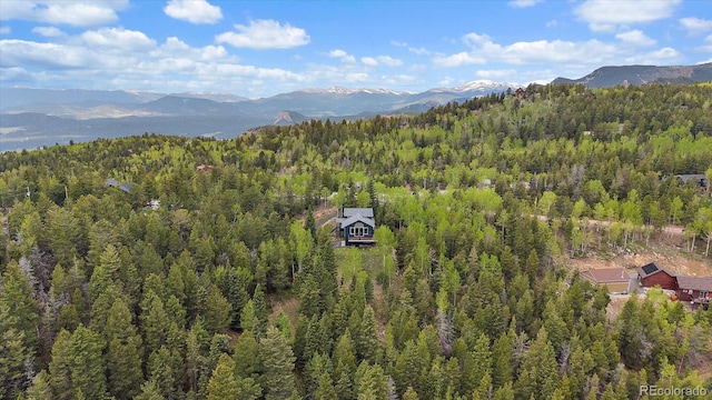 11222 Conifer Mountain Rd, Conifer, CO 80433 - aerial view of a forest and mountains