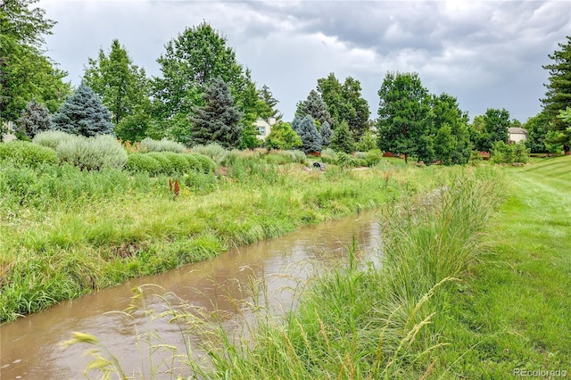 5185 E Weaver Dr, Centennial, CO 80121 - view of local wilderness