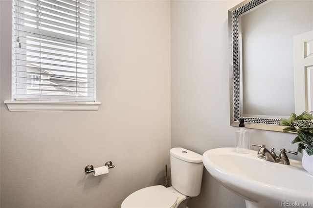 bathroom featuring toilet and a sink