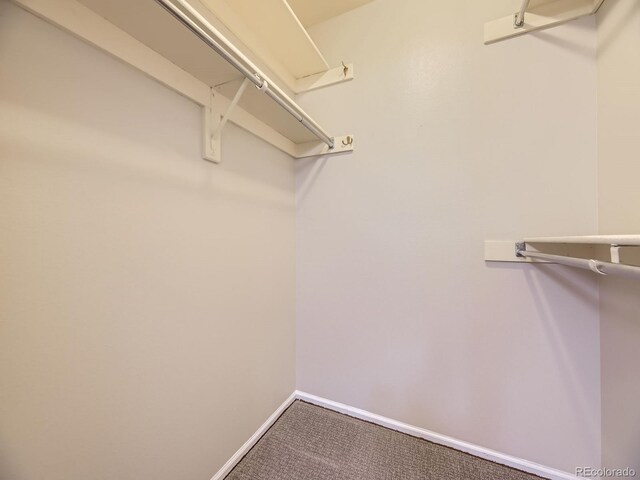 10192 W Berry Pl, Littleton, CO 80127 - photo 19