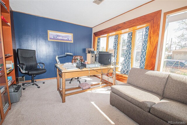 office area featuring baseboards and carpet flooring