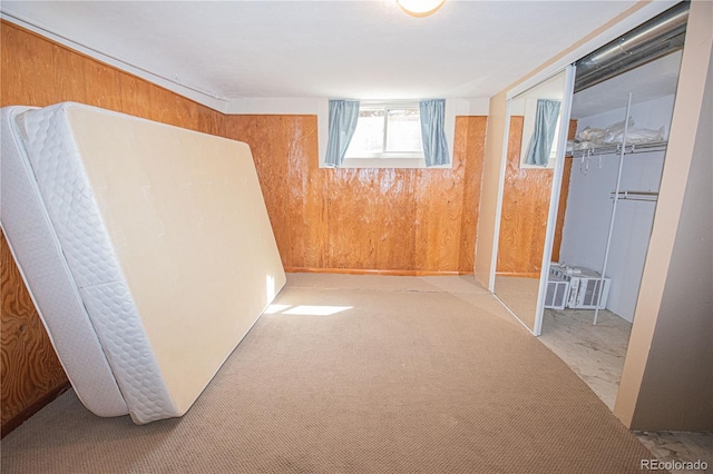basement featuring wooden walls and carpet floors