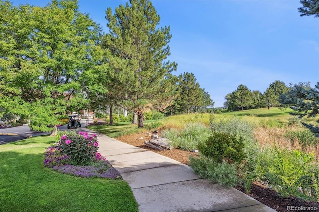 882 Eldorado Dr, Superior, CO 80027 - surrounding community featuring a yard