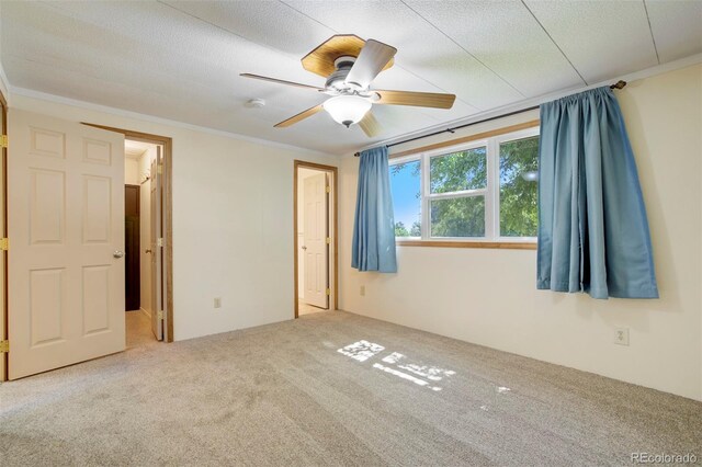 1670 Clinic Dr, Limon, CO 80828 - photo 13