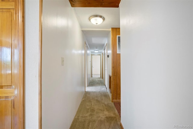 1670 Clinic Dr, Limon, CO 80828 - photo 12