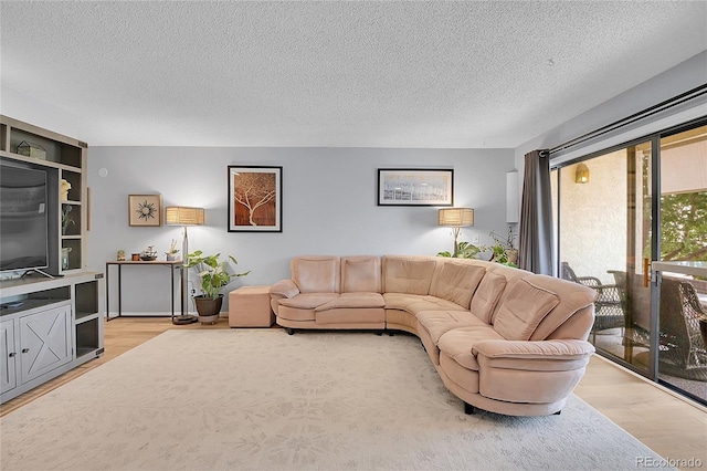 living room with a textured ceiling and light hardwood / wood-style flooring