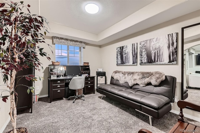 7851 E 148th Dr, Thornton, CO 80602 - office area with carpet floors, a textured ceiling, and baseboards