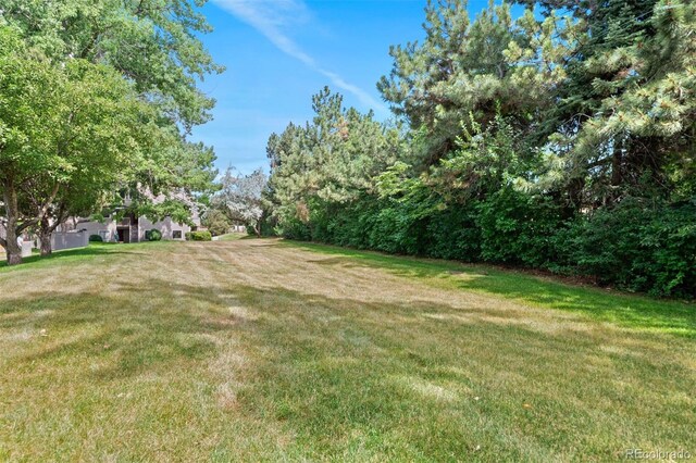 3600 S Pierce St Unit 7-208, Denver, CO 80235 - view of green lawn