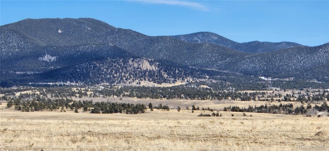 Listing photo 3 for 148 Sunset Crater Vw, Hartsel CO 80449