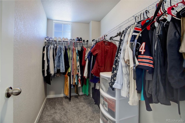 walk in closet featuring carpet flooring