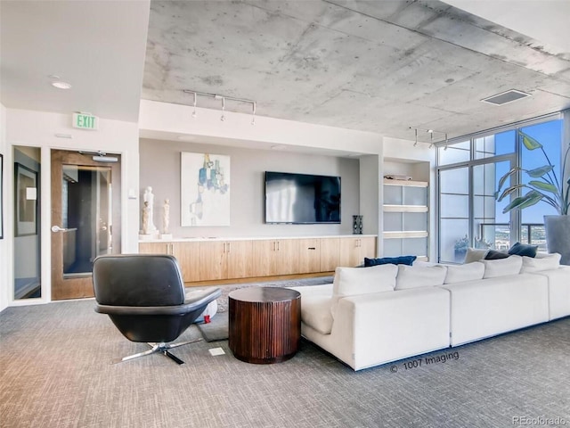 living room featuring carpet floors and track lighting