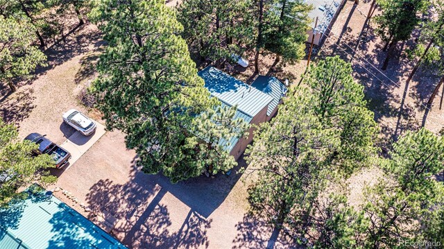 6655 State Highway 12, Weston, CO 81091 - photo 39