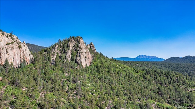 6655 State Highway 12, Weston, CO 81091 - photo 40