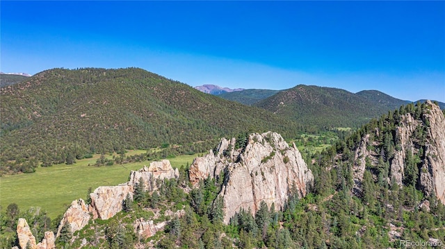 6655 State Highway 12, Weston, CO 81091 - photo 41