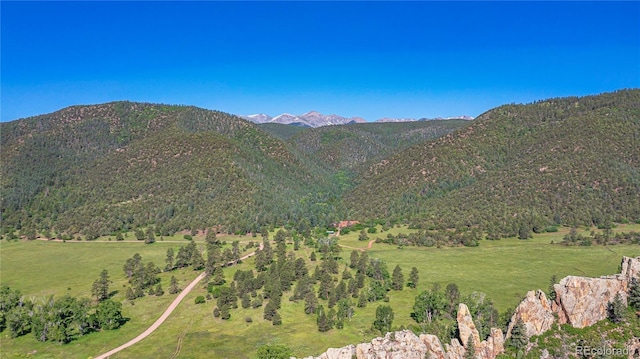 6655 State Highway 12, Weston, CO 81091 - photo 42