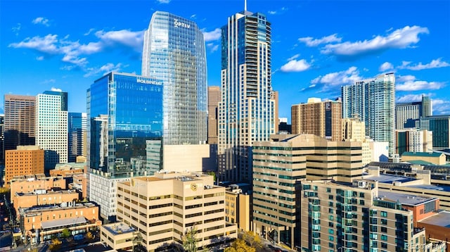 1133 14th St Unit 4150, Denver, CO 80202 - skyline view