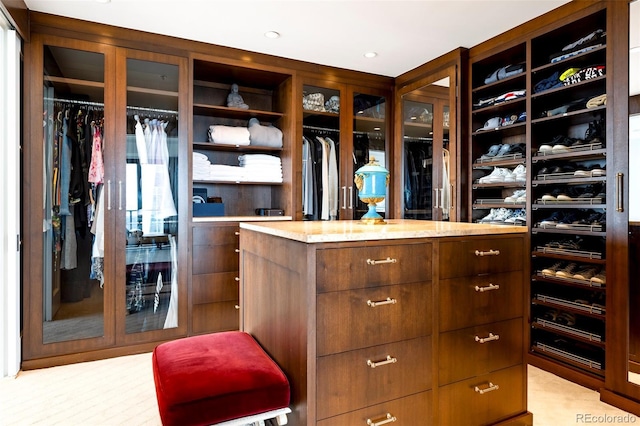 1133 14th St Unit 4150, Denver, CO 80202 - view of spacious closet
